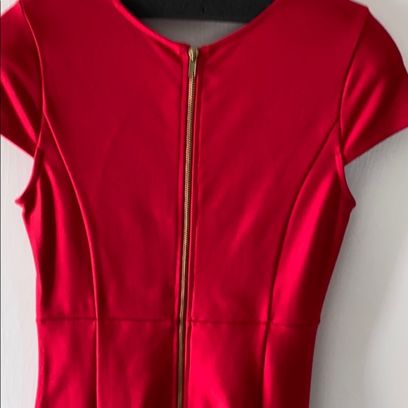 Felicity & Coco Item Cayenne Seamed Pencil Dress - Picture 3 of 4